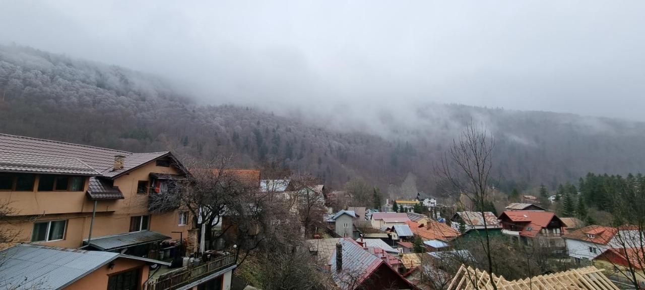 Sara Apart Belleview Sinaia Eksteriør bilde