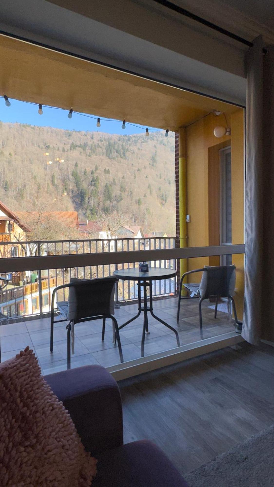Sara Apart Belleview Sinaia Eksteriør bilde